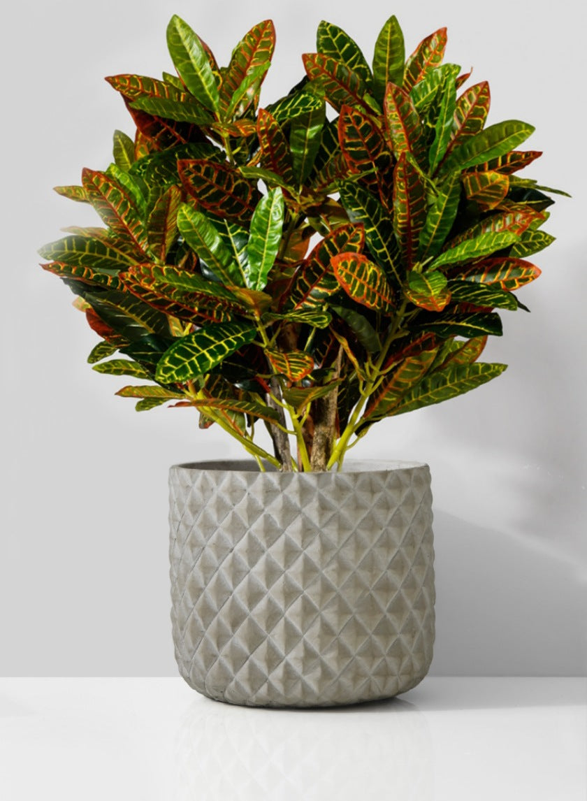 5in Tall Atelier Diamond Cement Cylinder Vase Decor Jamali Garden