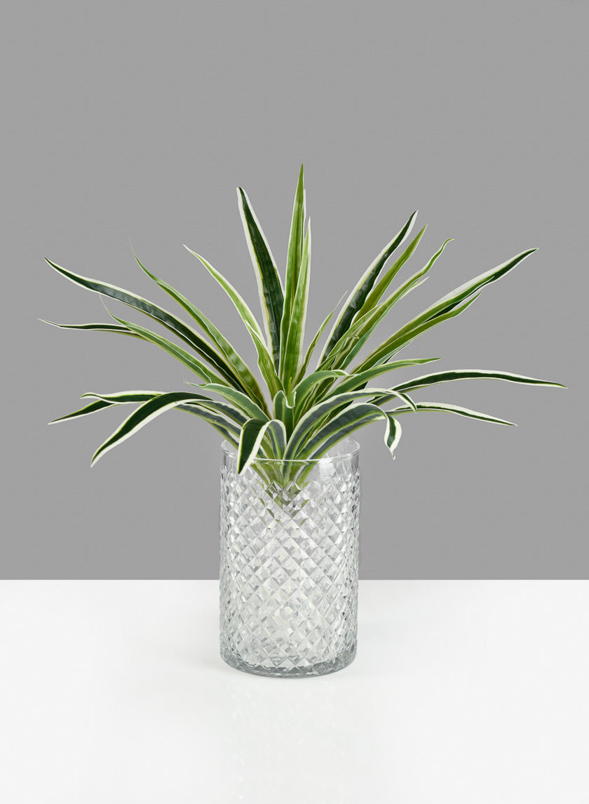 6in Tall Diamond Cut Glass Round Vase Decor Jamali Garden