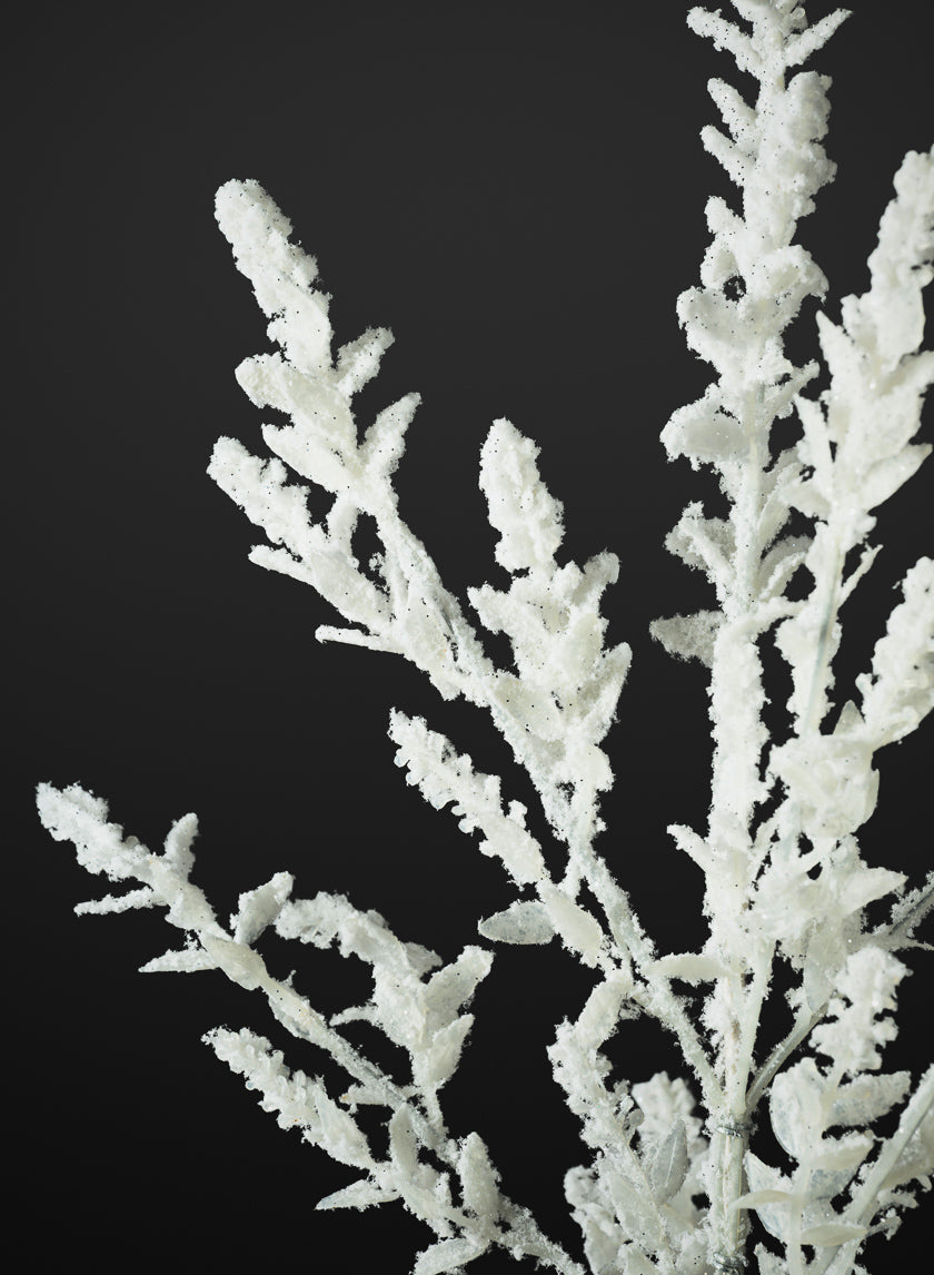 24in Long Winter Snow Look Alpine Mix Pick, Case of 12 Decor Jamali Garden