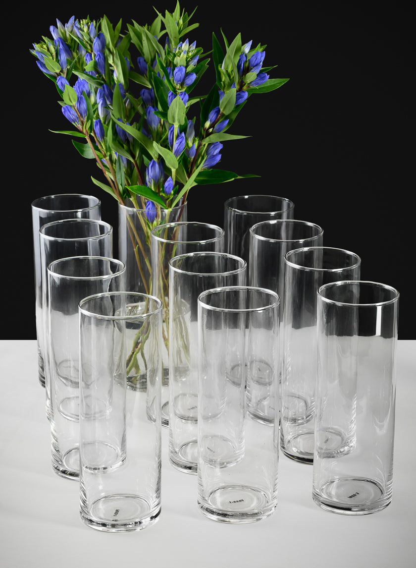 Best Value Glass Cylinder, Set of 12 Decor Jamali Garden