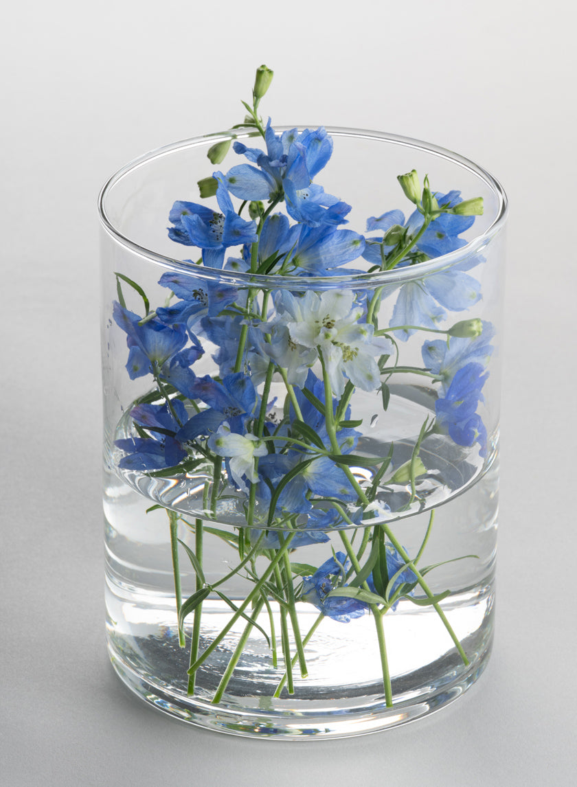 The Best Value Glass Cylinder Vase (Set of 6) displays blue and white delphinium flowers with green stems visible through its clear sides, beautifully showcased against a simple light background.