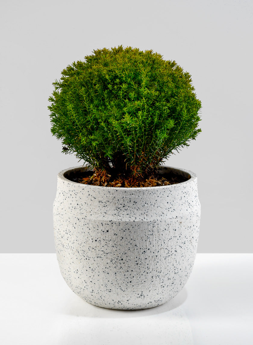 6.5in Wide White Granite Goki Bowl Decor Jamali Garden