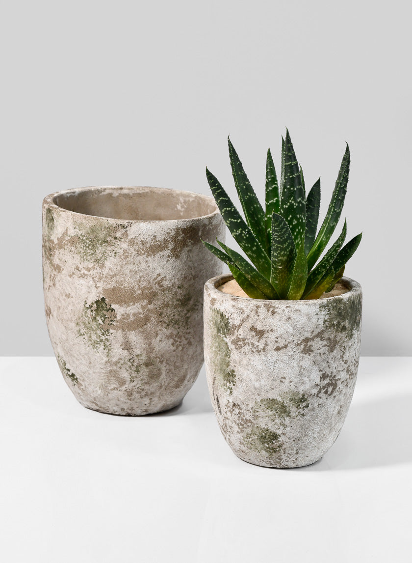 5in Tall Sturgeon Moon Aged Cement Planter Decor Jamali Garden