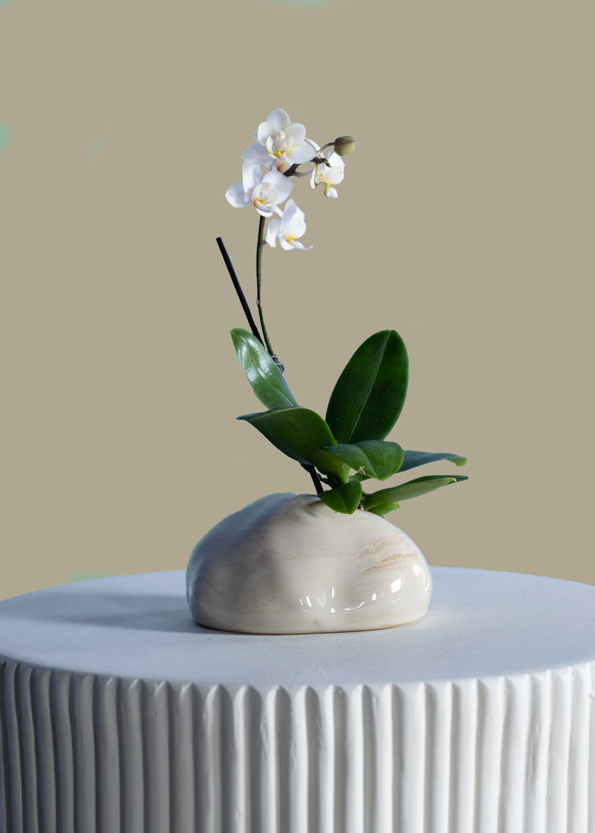 4.5in Wide Seto Artisan Mini Ceramic Vase Decor Jamali Garden