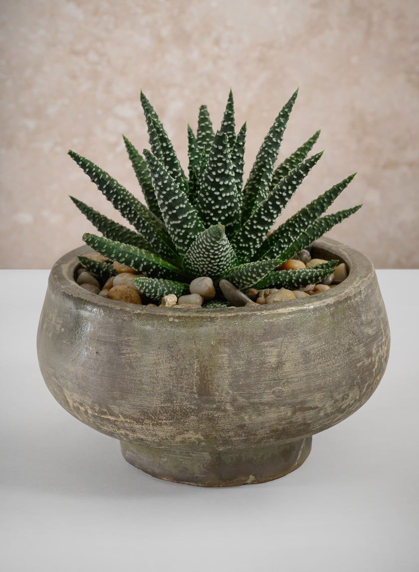 6.5in Wide Cintra Aged Black Clay Look Stoneware Bowl Decor Jamali Garden