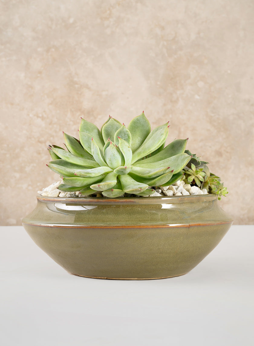 Moss Green Glaze Ceramic Ikebana Bowl