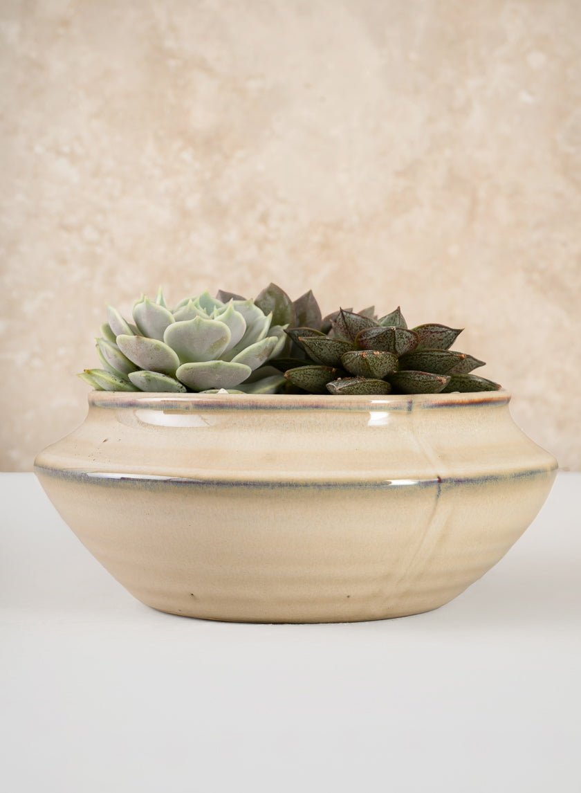5.5in Wide Ivory Glaze Ceramic Ikebana Bowl Decor Jamali Garden