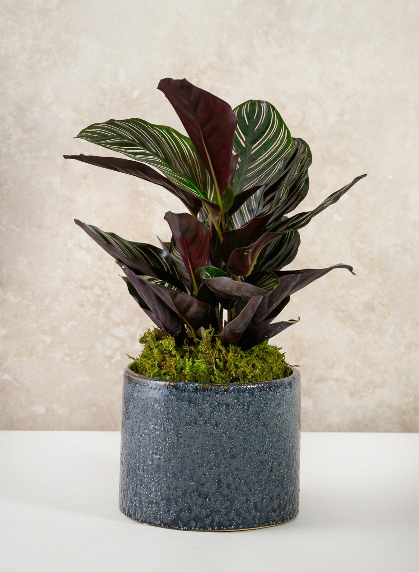 4.5in Tall Glaze Old Blue Ceramic Cylinder Vase Decor Jamali Garden