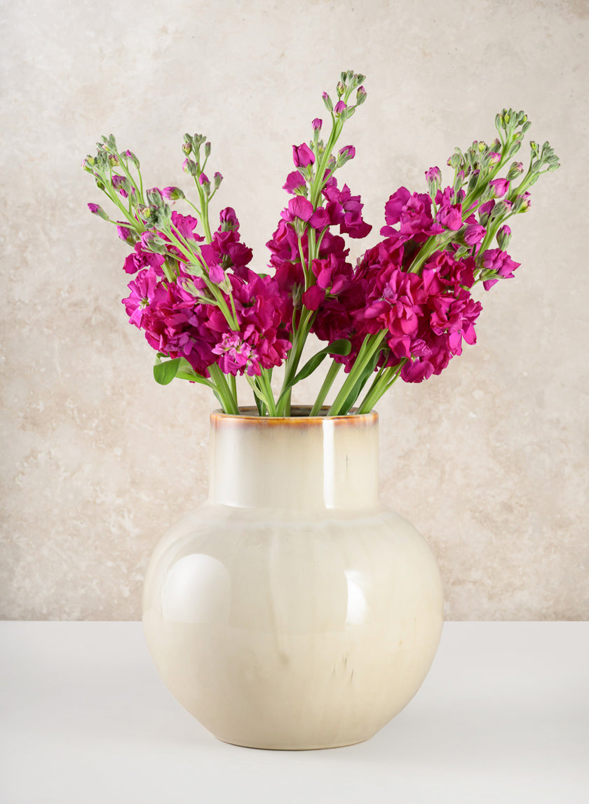 9.5in Tall Ivory Glaze Ceramic Akaibara Vase Decor Jamali Garden