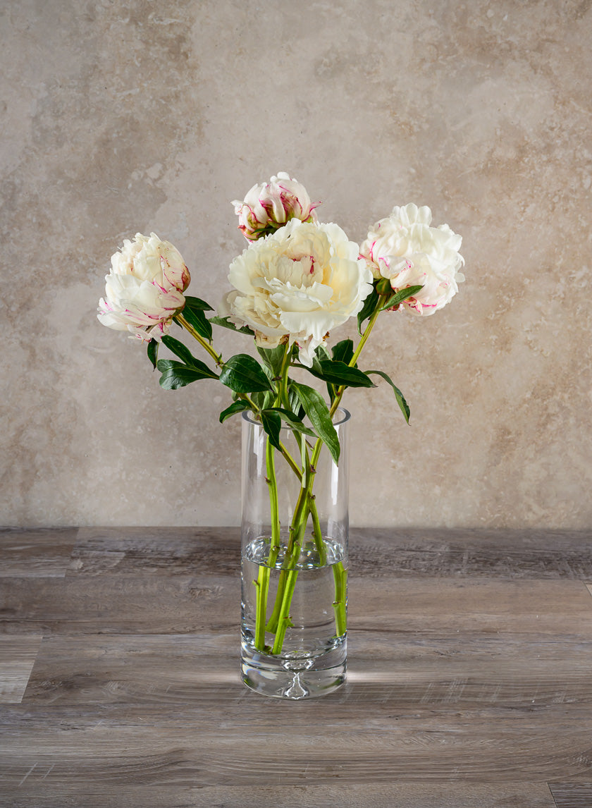 Luxe Cylinder Glass Vase Decor Jamali Garden