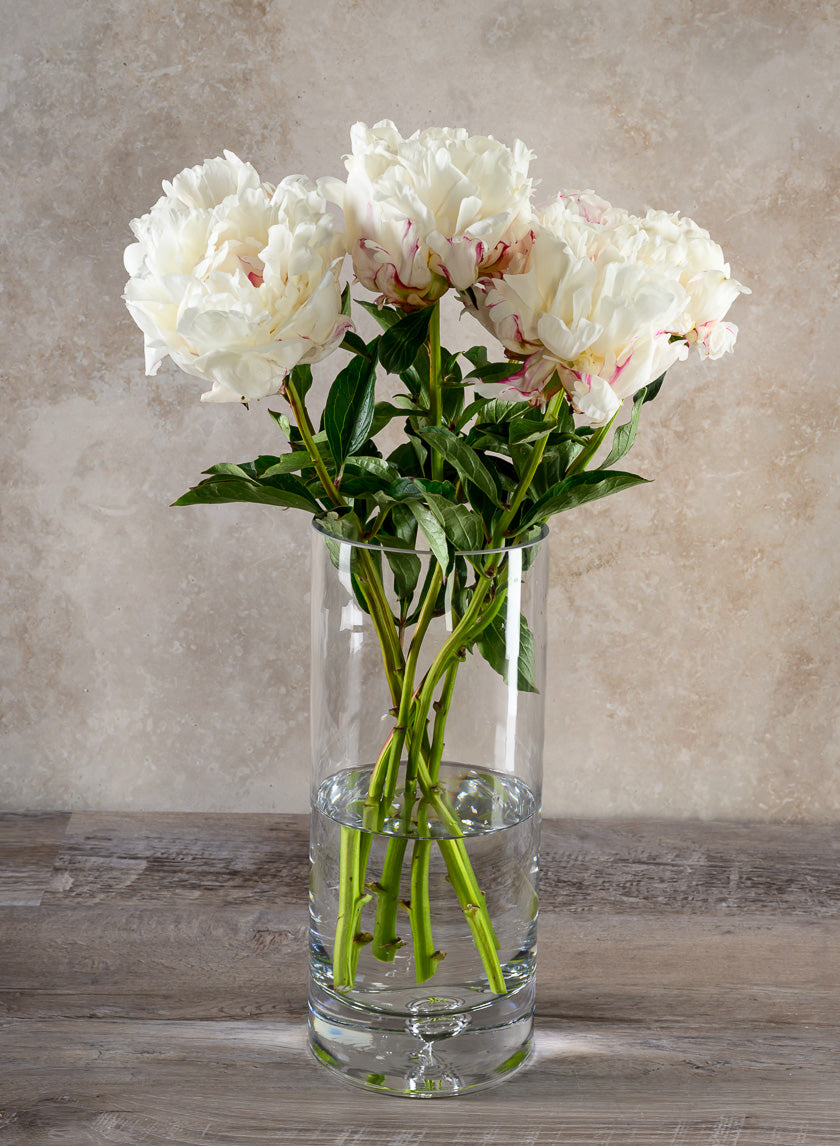 Luxe Cylinder Glass Vase Decor Jamali Garden