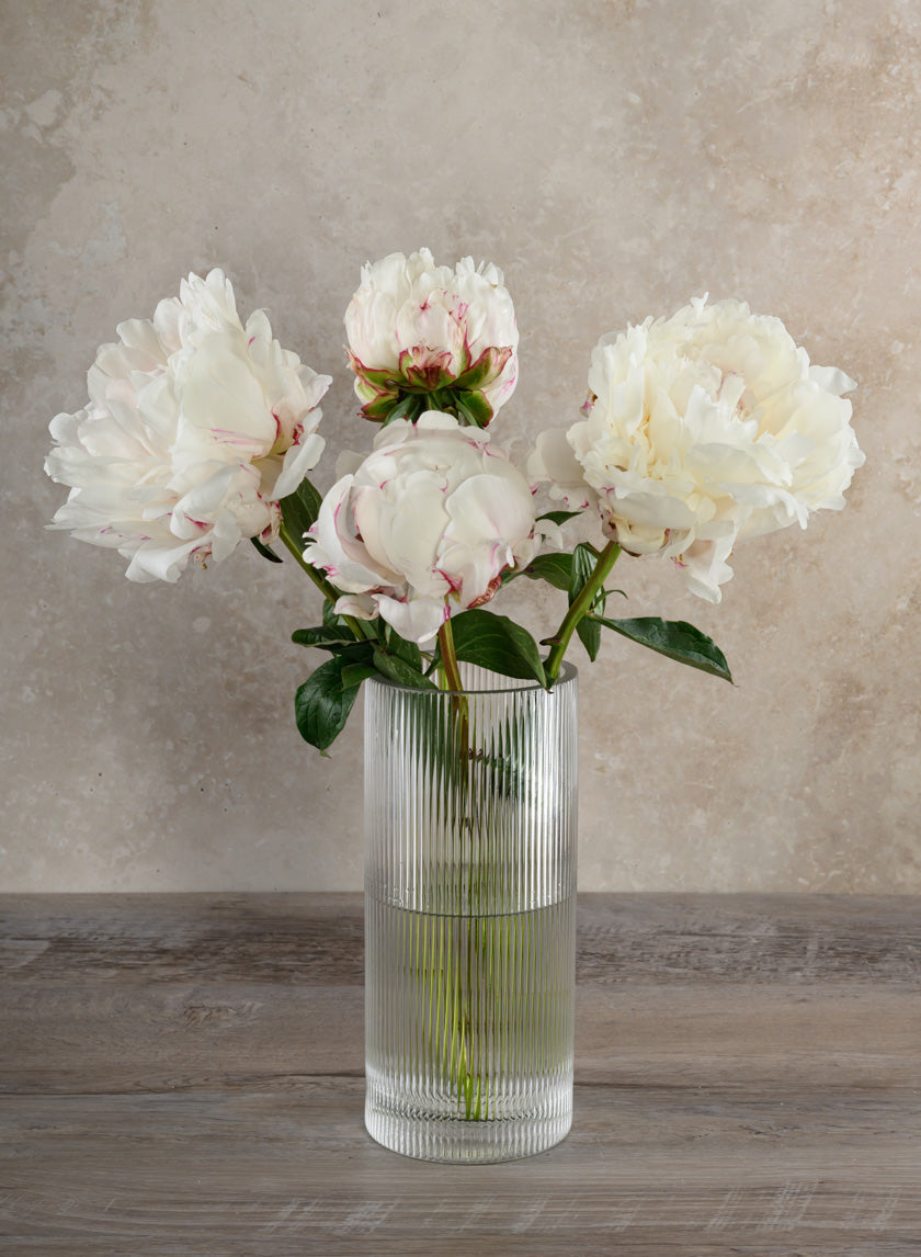 Vienna Pleated Glass Cylinder Decor Jamali Garden