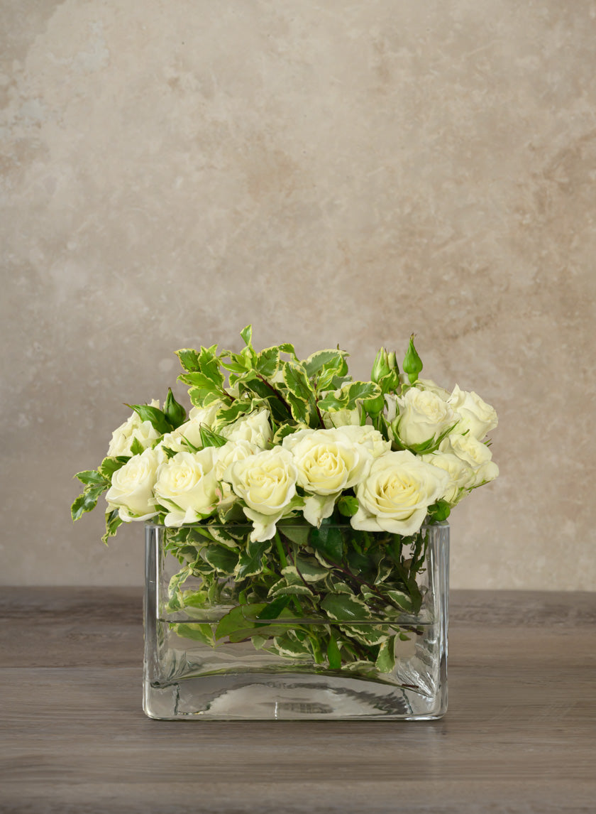 6in Long Low Cube Glass Bowl Vase Decor Jamali Garden