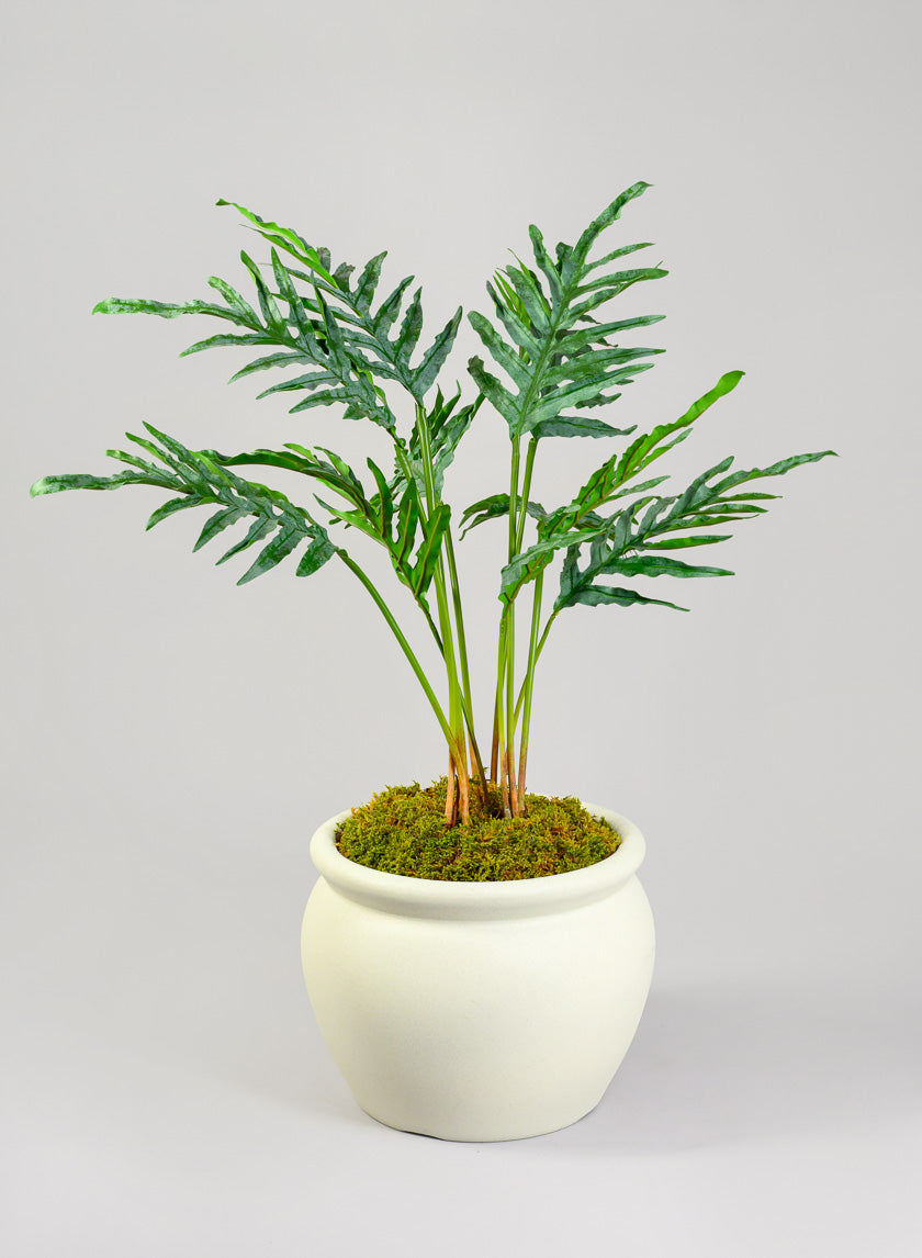 Rosetta White Real Look Light Weight PVC Bowl Planter Decor Jamali Garden