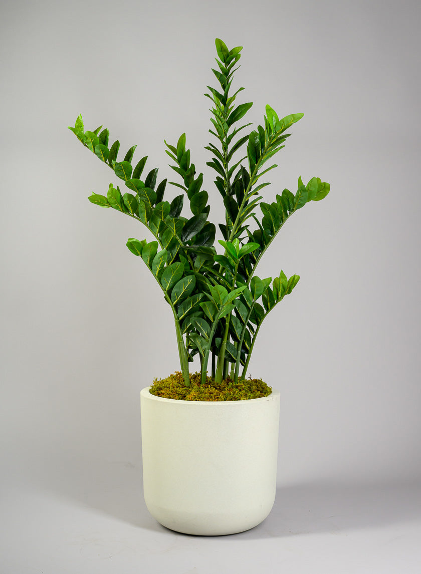 Rumi White Real Look PVC Light Weight Cylinder Pot Decor Jamali Garden