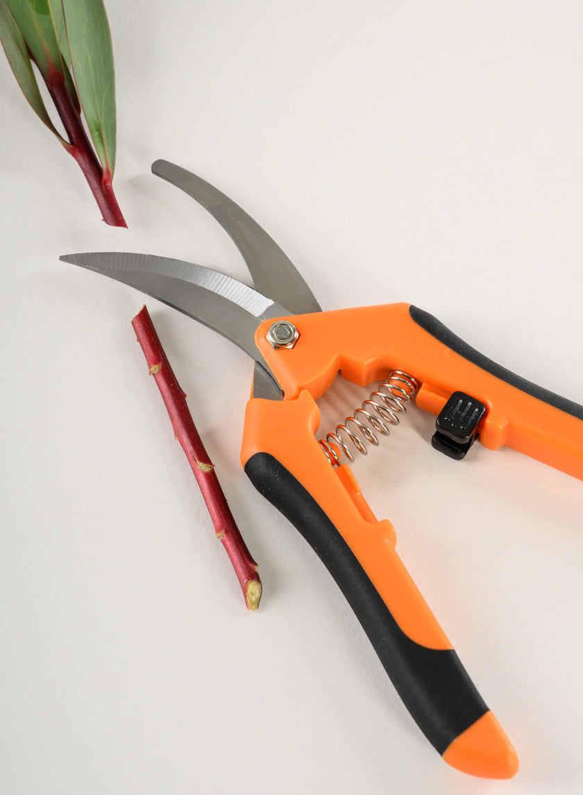 Professional All Purpose Floral Shears Decor Jamali Garden