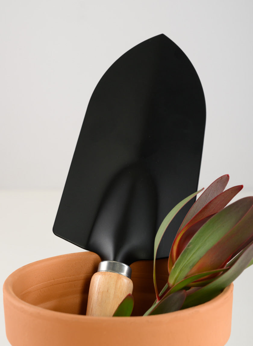 Wood Handle Tranplanter and Trowel Decor Jamali Garden