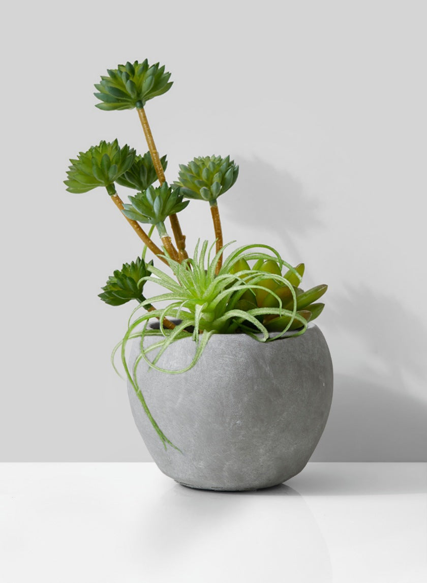 Atelier Cement Fishbowl Vase Decor Jamali Garden