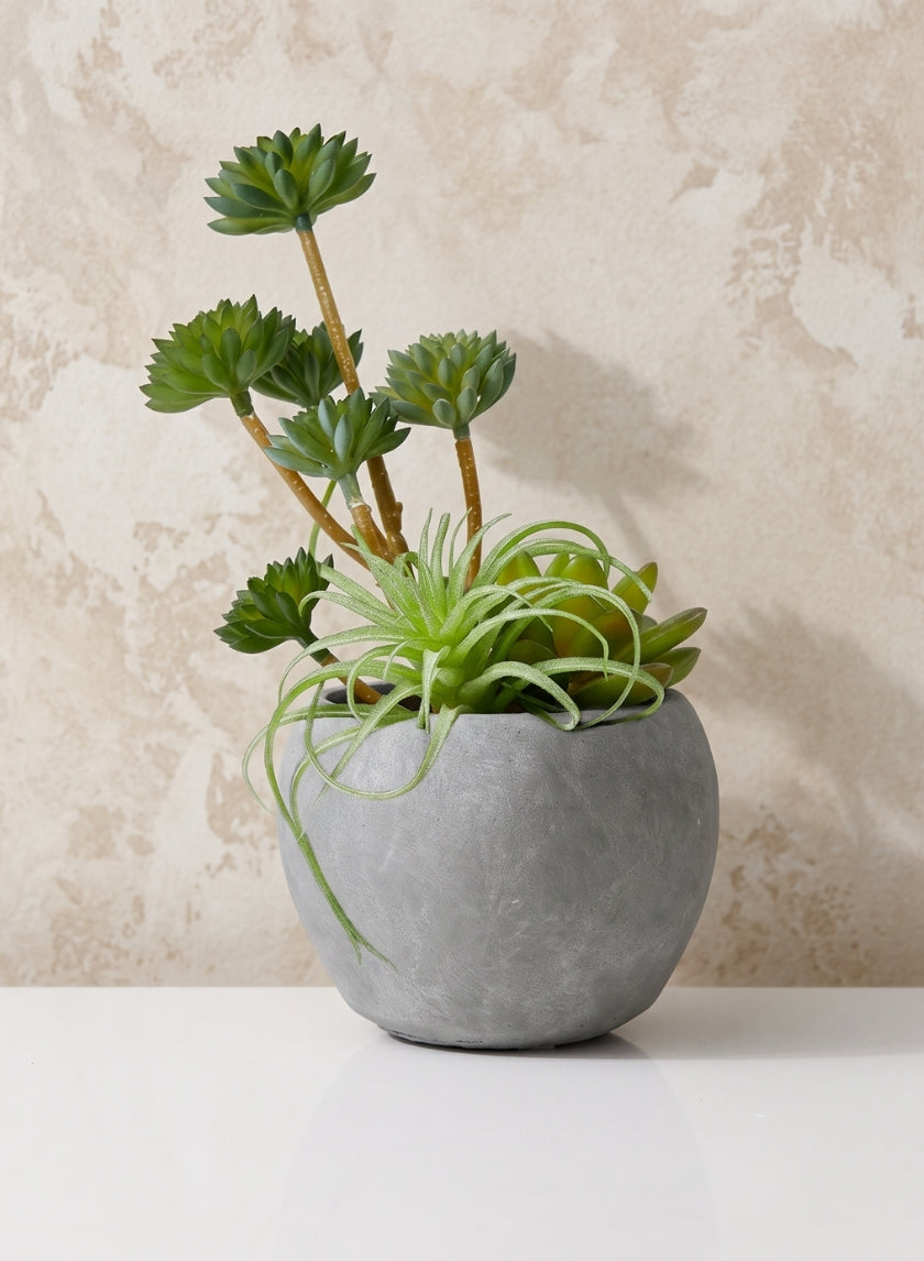 Atelier Cement Fishbowl Vase Decor Jamali Garden