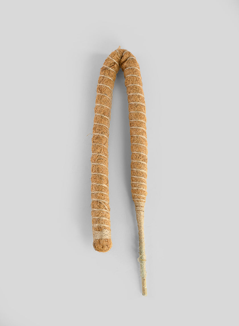 Flexible Coco Moss Plant Training Pole Decor Jamali Garden