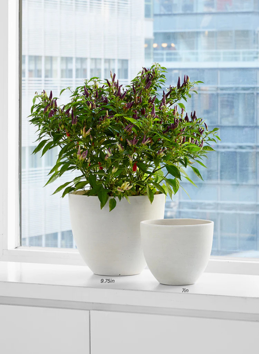 Natural White Sandstone Pots Decor Jamali Garden