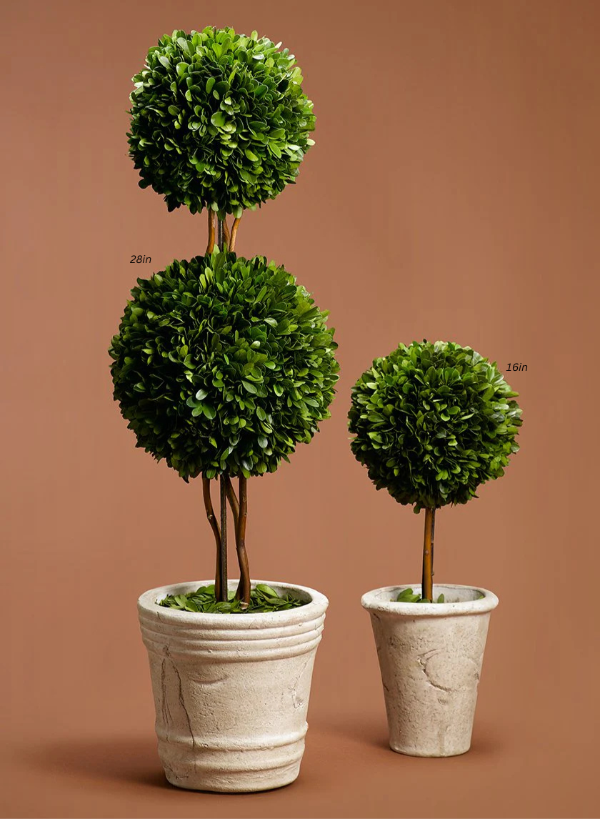 Boxwood Ball Topiaries Decor Jamali Garden