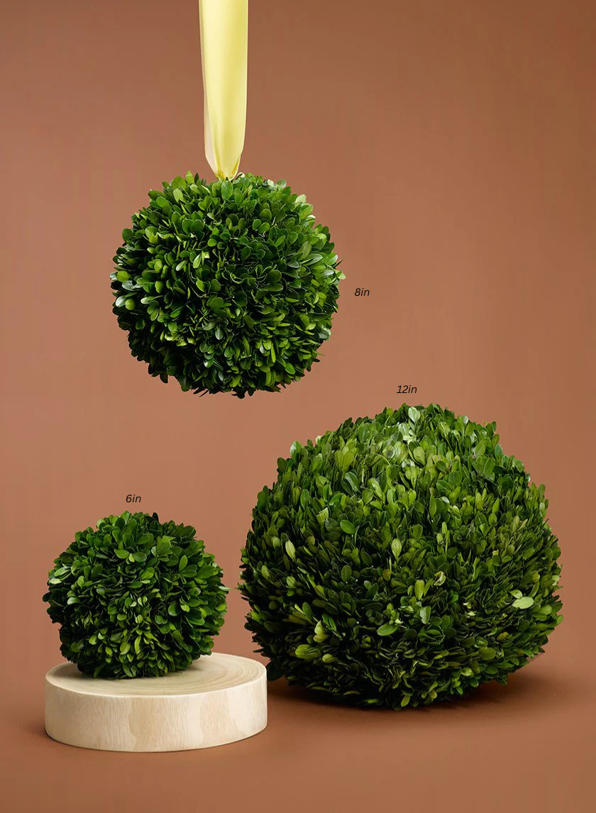 Boxwood Balls Jamali Garden