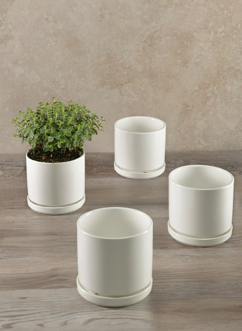 4.5in Tall Odense White Indoor Ceramic Pot with Saucer, Set of 4 Decor Jamali Garden