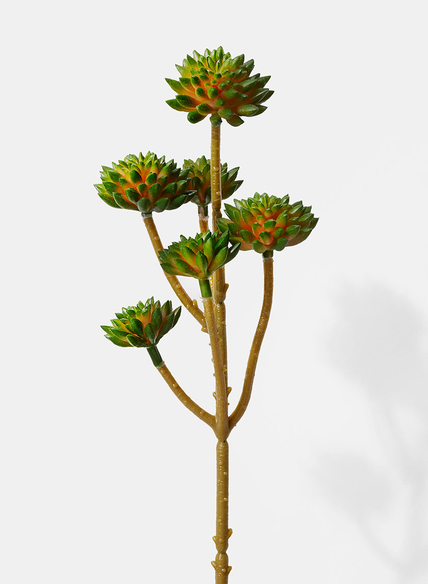 12.5in Long Dark Green Succulent Mini Tree Spray Decor Jamali Garden