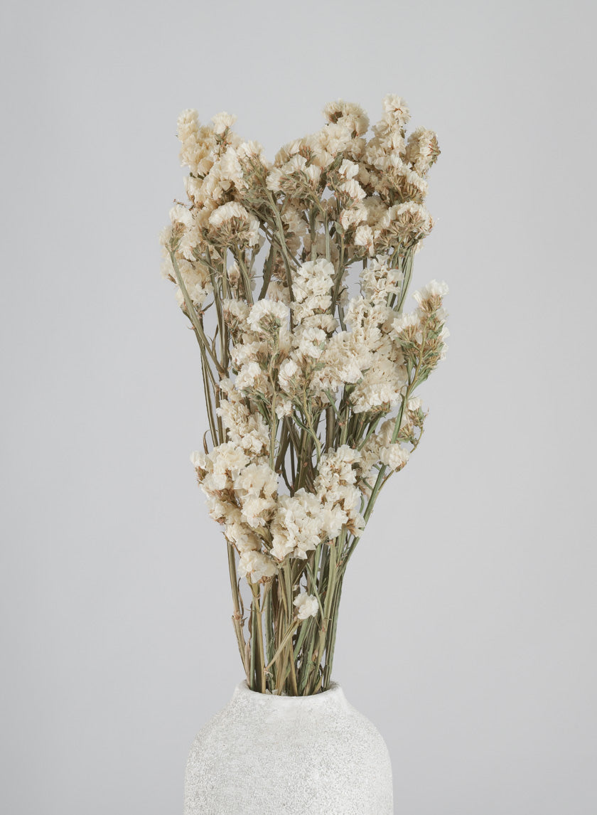 24in Long Dried Statice Flower Bunch Decor Jamali Garden