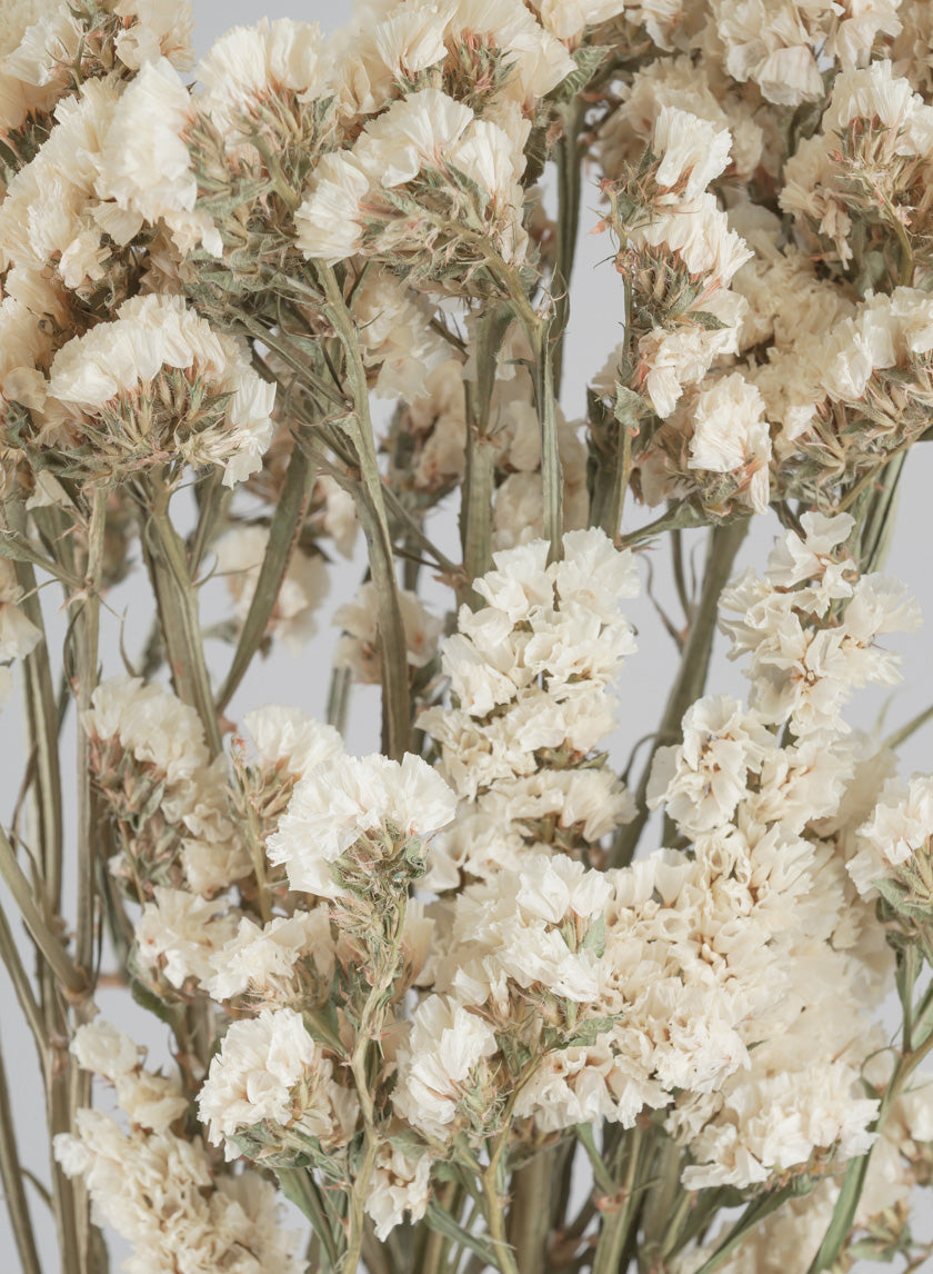 24in Long Dried Statice Flower Bunch Decor Jamali Garden