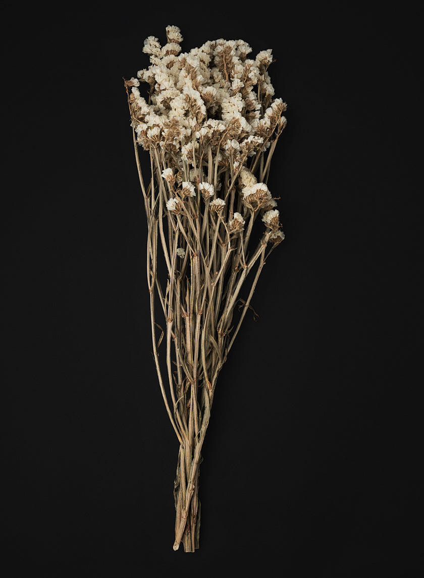24in Long Dried Statice Flower Bunch Decor Jamali Garden