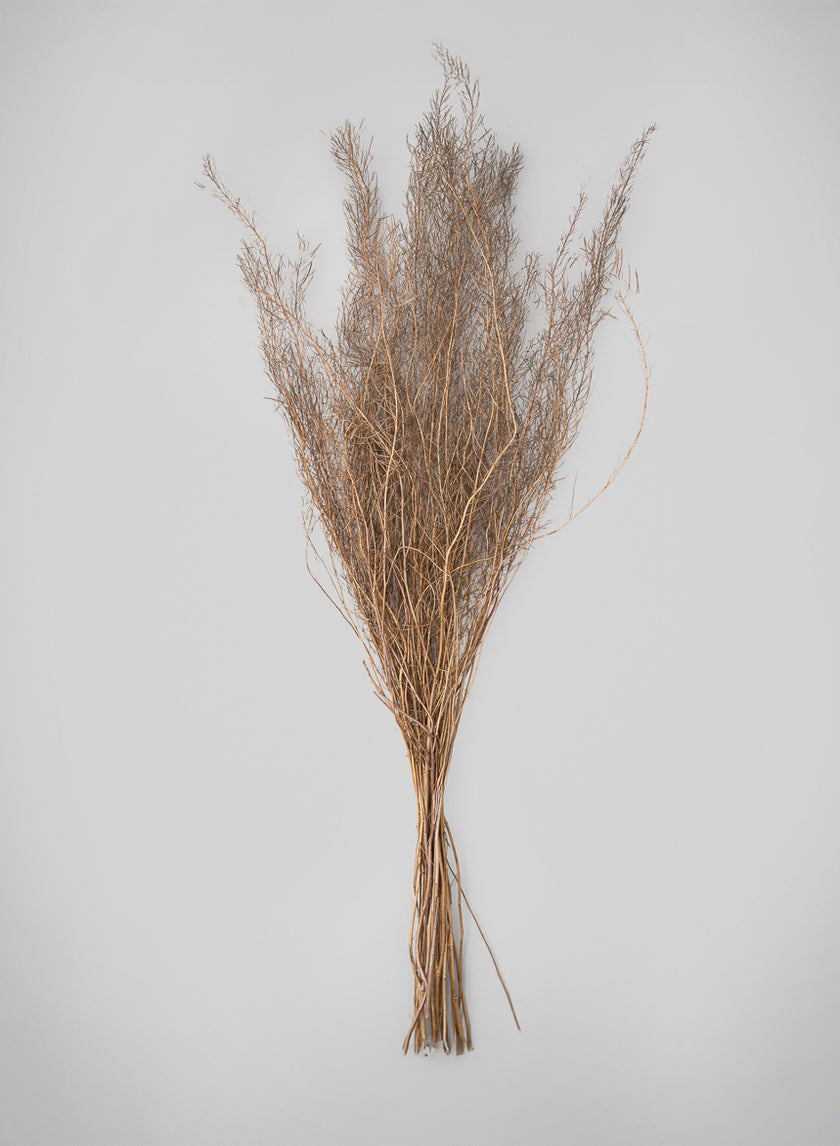 30in Long Natural Fixweed Bunch Decor Jamali Garden