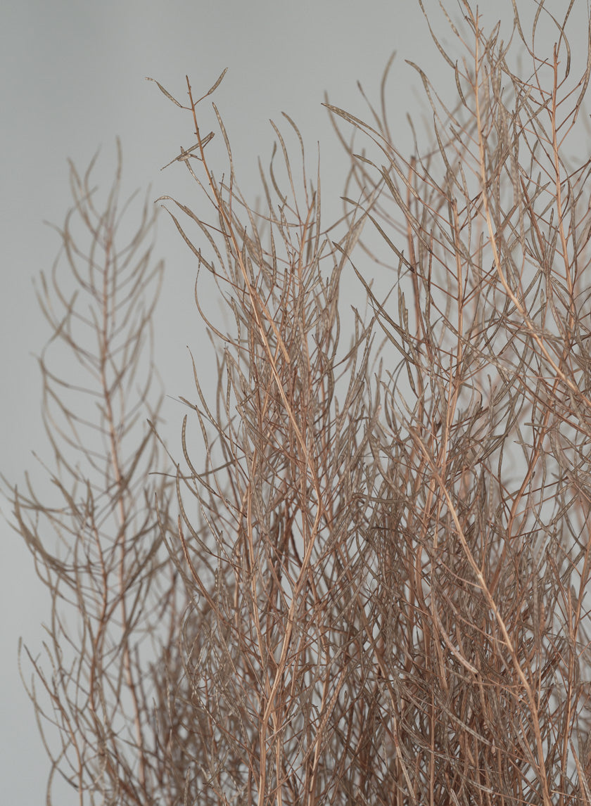 30in Long Natural Fixweed Bunch Decor Jamali Garden