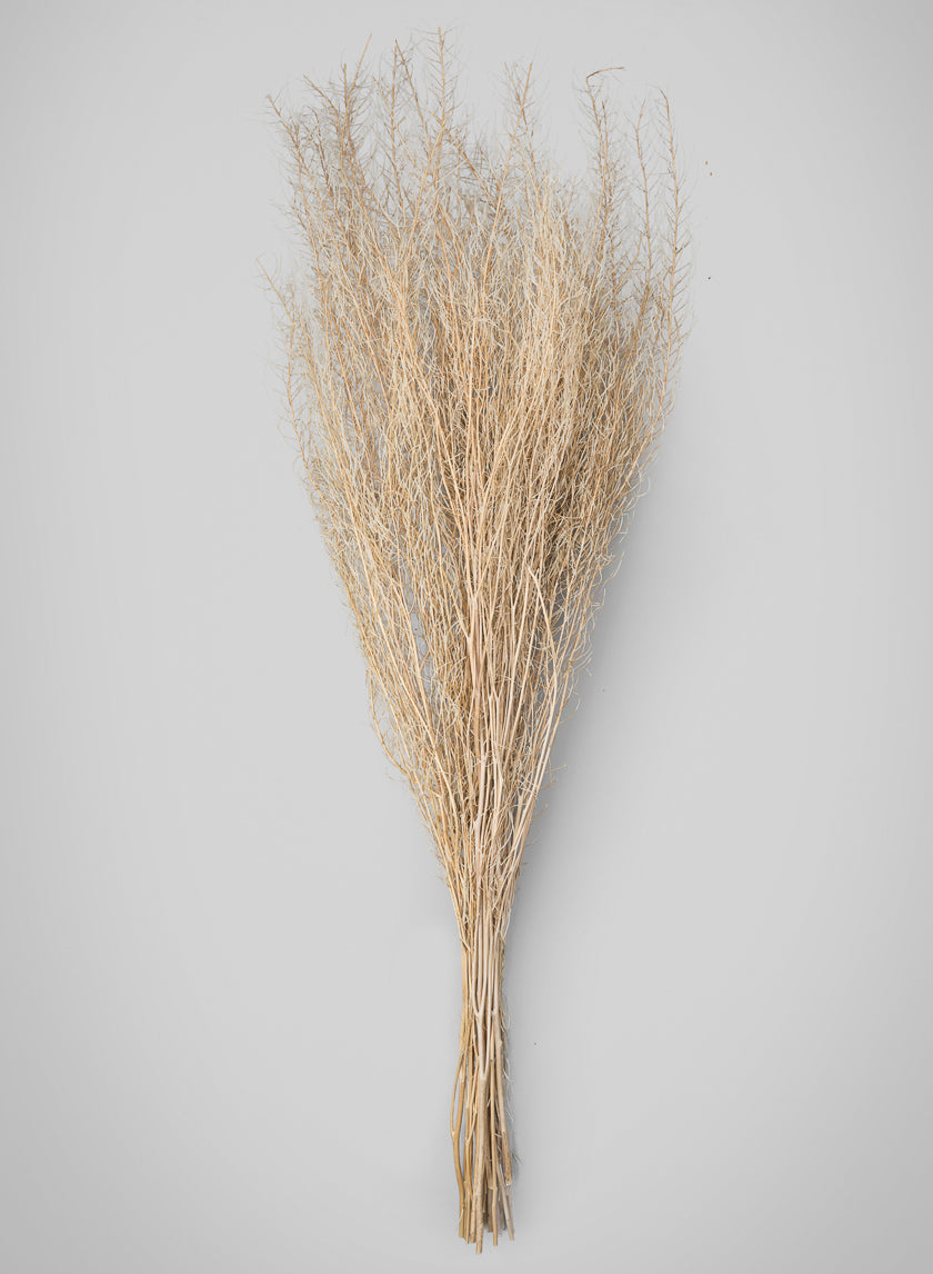 30in Long Bleached Flixweed Bunch Decor Jamali Garden