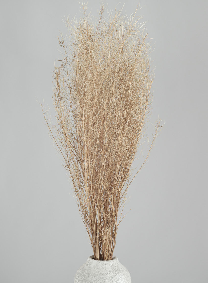 30in Long Bleached Flixweed Bunch Decor Jamali Garden