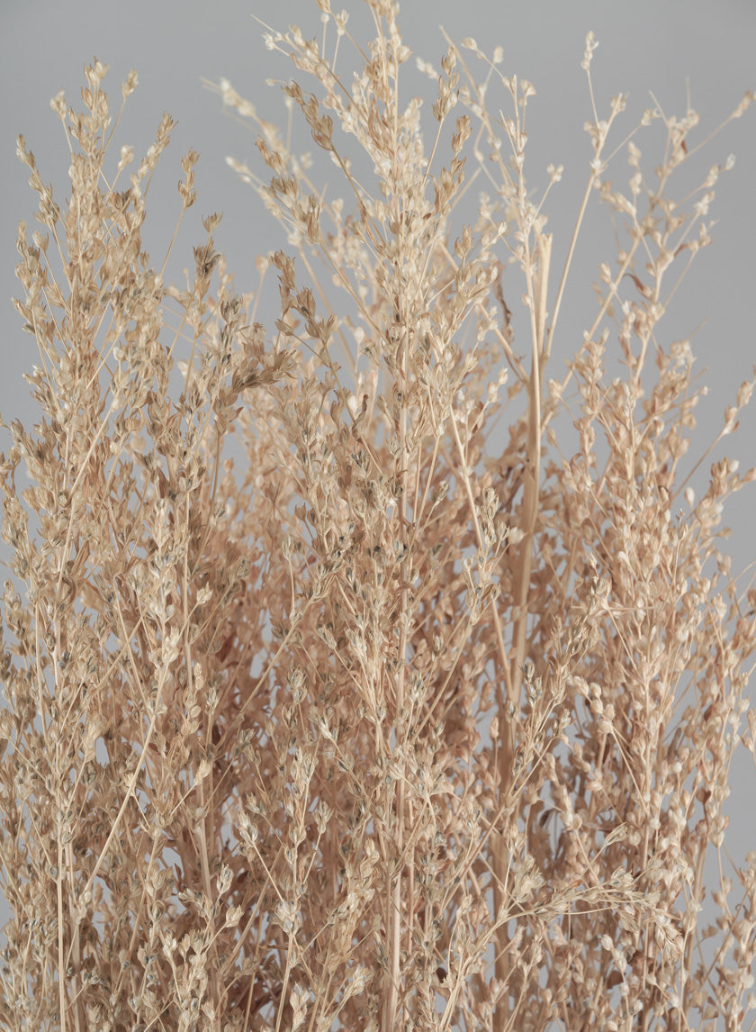 26in Long Natural Dried Linum Grass Bunch Decor Jamali Garden