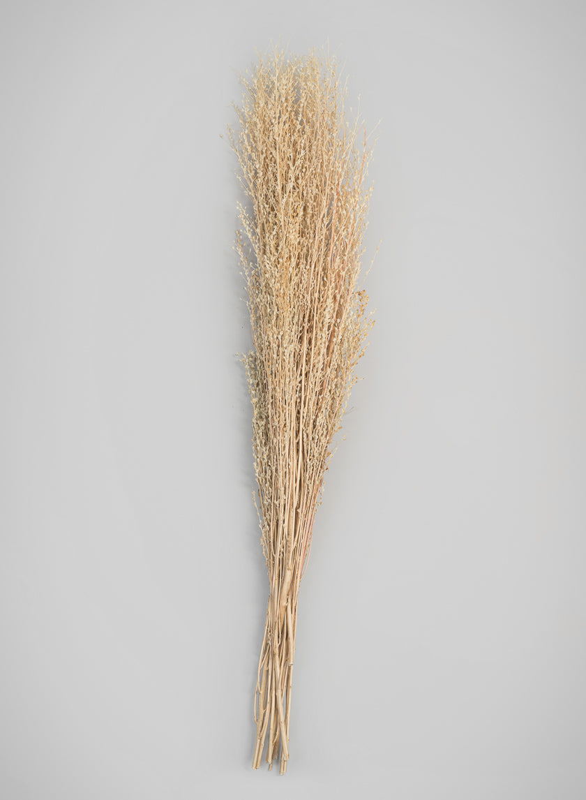 26in Long Natural Dried Linum Grass Bunch Decor Jamali Garden