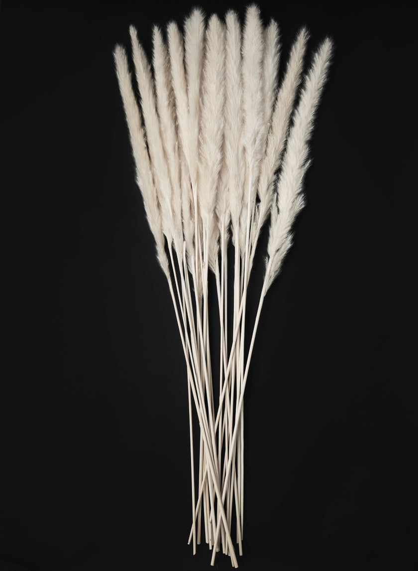 28in Long Bleached Pampas Grass Bunch Decor Jamali Garden