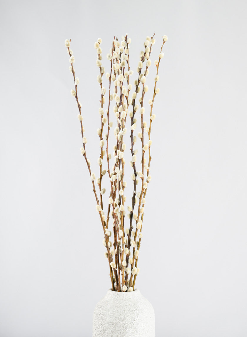 30in Long Dried Pussy Willow Bunch Decor Jamali Garden