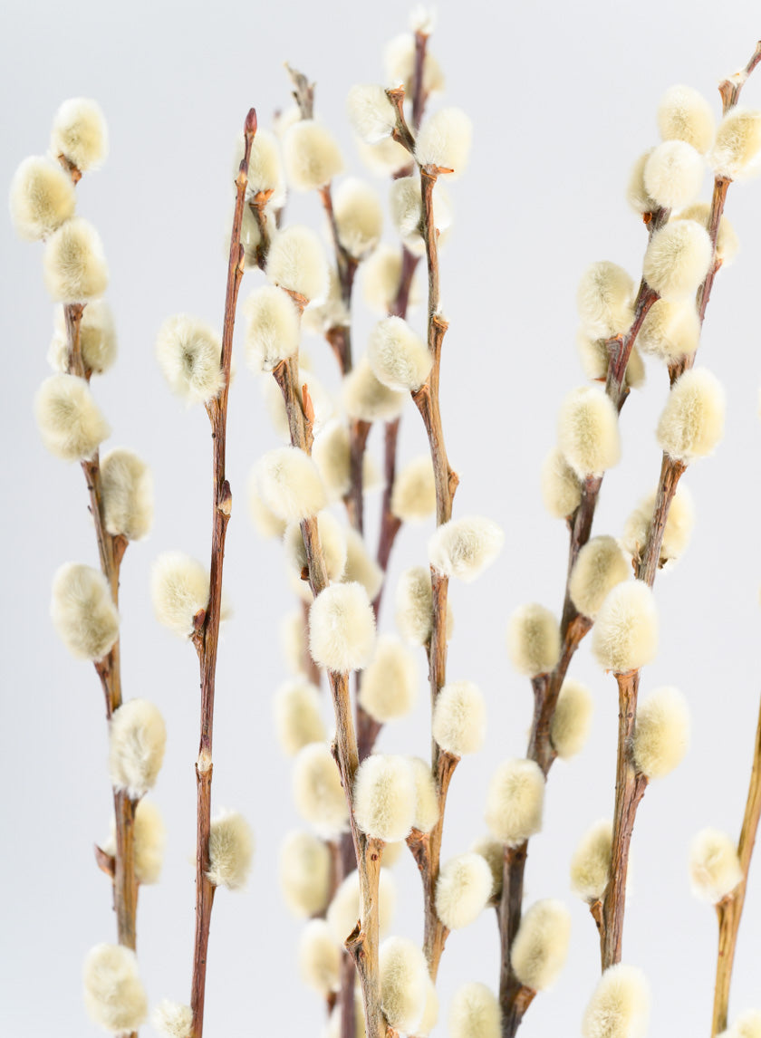 30in Long Dried Pussy Willow Bunch Decor Jamali Garden