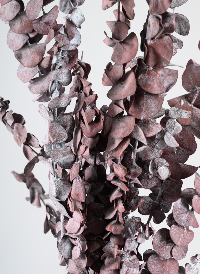 20in Long Burgundy Dried Eucalyptus Bunch Decor Jamali Garden