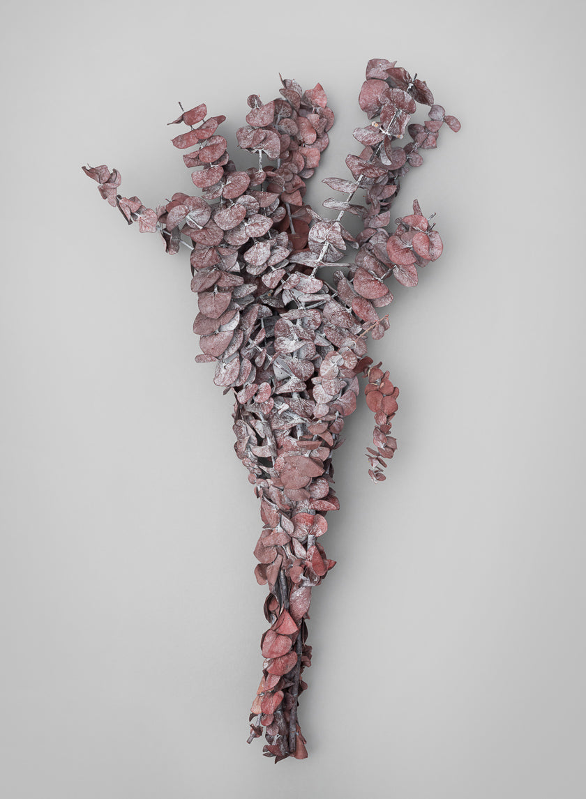 20in Long Burgundy Dried Eucalyptus Bunch Decor Jamali Garden