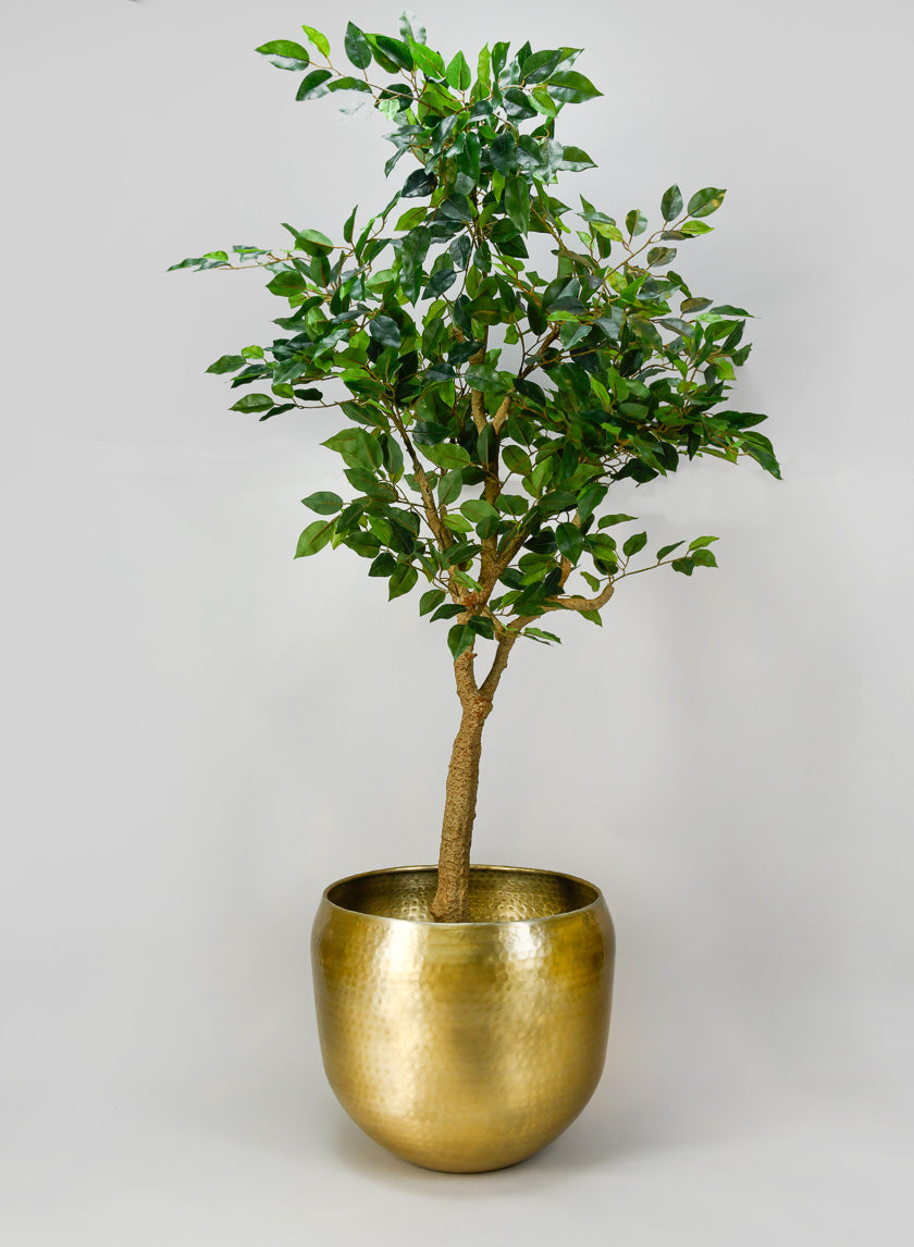 Madurai Brass Look Aluminum Indoor Garden Pot Decor Jamali Garden