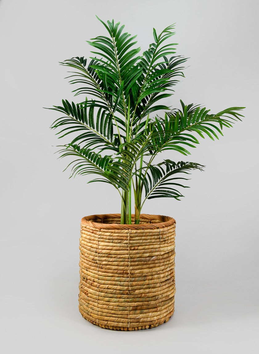 Da Nang Water Hyacinth Basket Pot Decor Jamali Garden