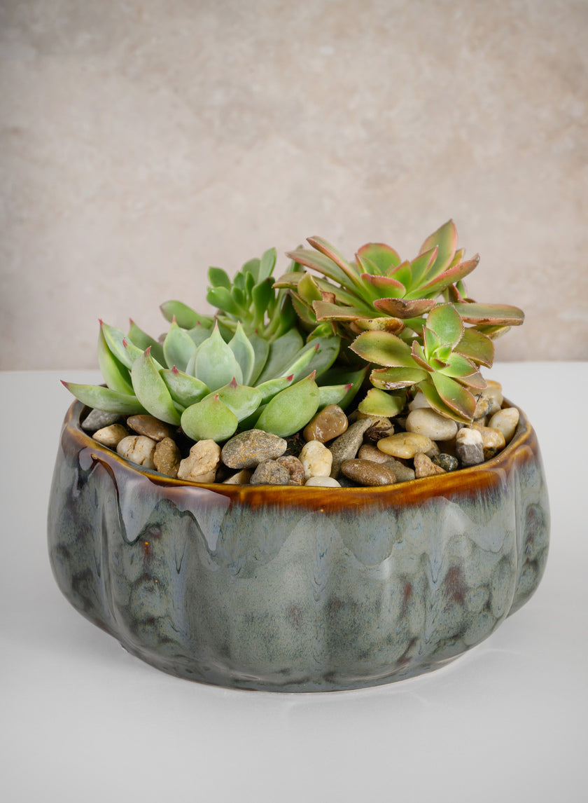 6.5in Wide Grey Glazed Leif Ceramic Bowl Decor Jamali Garden