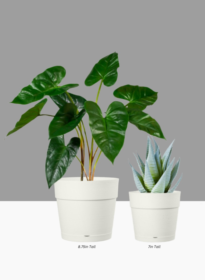 Loft White Plastic Pot With Attached Saucer Decor Jamali Garden