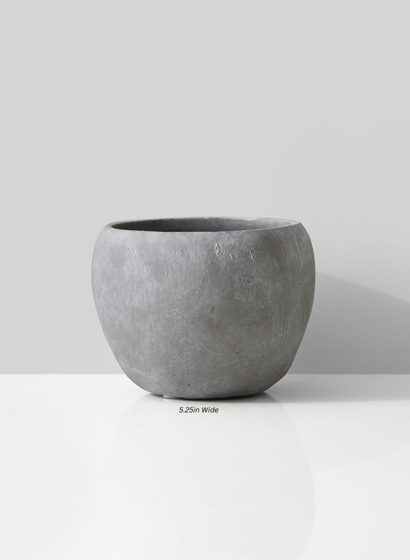 Atelier Cement Fishbowl Vase Decor Jamali Garden Gray 5.25in Wide EACH