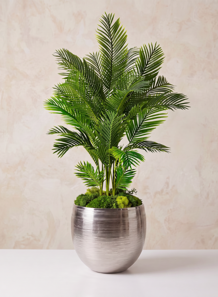 A potted palm plant with lush green leaves sits in a 15.5in Tall Silver Cache Pot Metal Planter on a white surface against a beige, textured background.