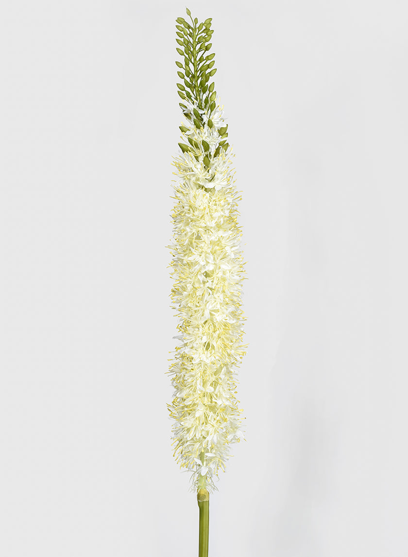 42in Long White Foxtail Lily, Case of 6 Decor Jamali Garden